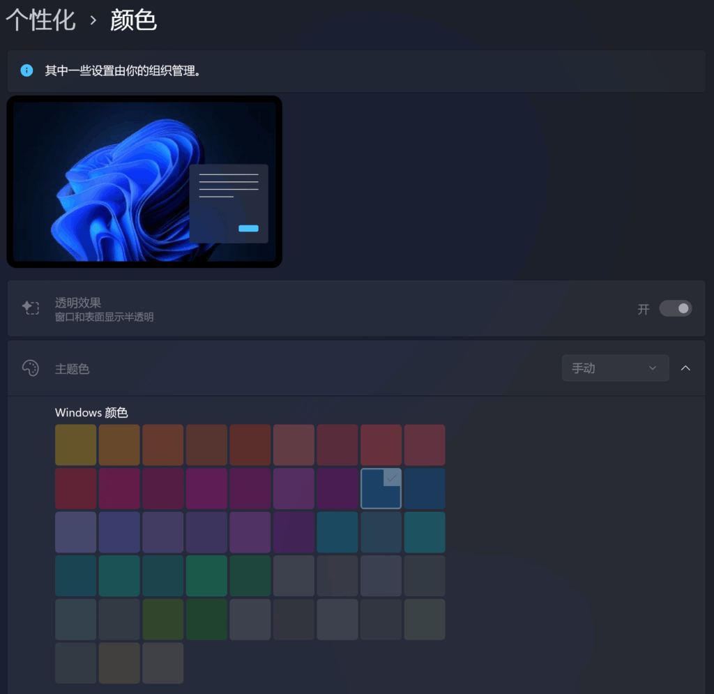 无法修改 Windows 颜色。